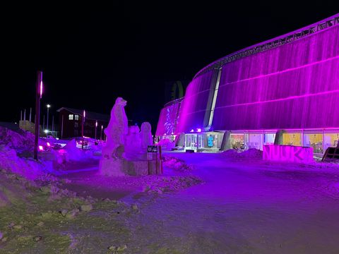 Snow Fest