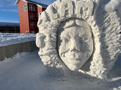 Frozen Portrait