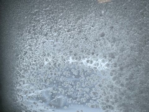 Through the Frosted Pane
