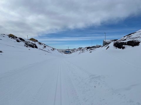 Daily photo from Greenland