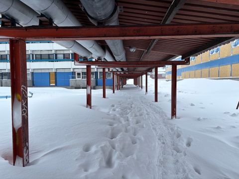 Daily photo from Greenland