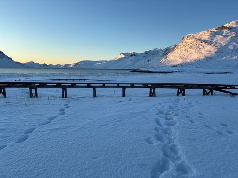 Tracks at Qoornoq