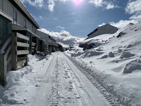 Daily photo from Greenland