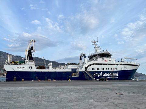 Avataq at the Quay