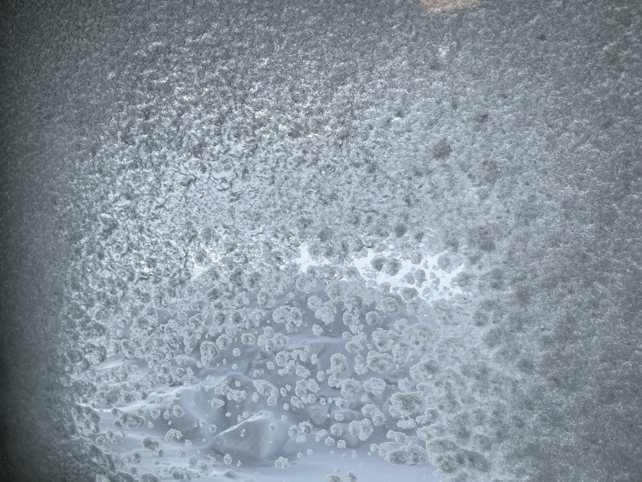 Through the Frosted Pane