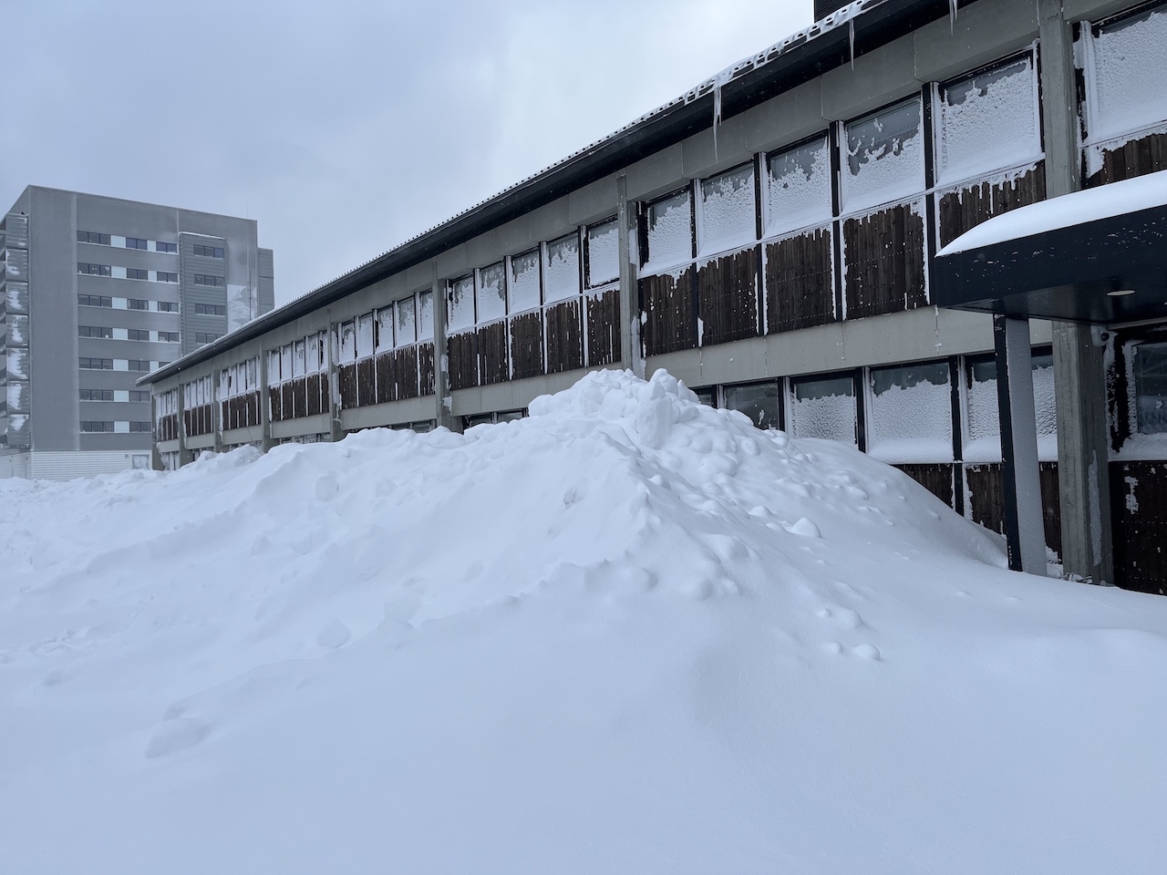 The Tax Agency (AKA) covered in snow